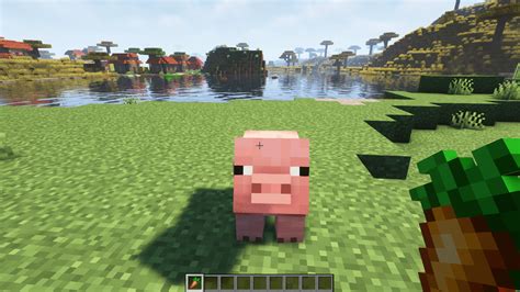 Related: What Do Pigs Eat In Minecraft? Where To Find Seagrass. Ah, seagrass – the verdant underwater carpet of the Minecraft universe. The beauty of seagrass lies in its unassuming simplicity, as it sways gently with the …